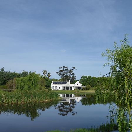 Sanddrif Stellenbosch Guest Farm Luaran gambar