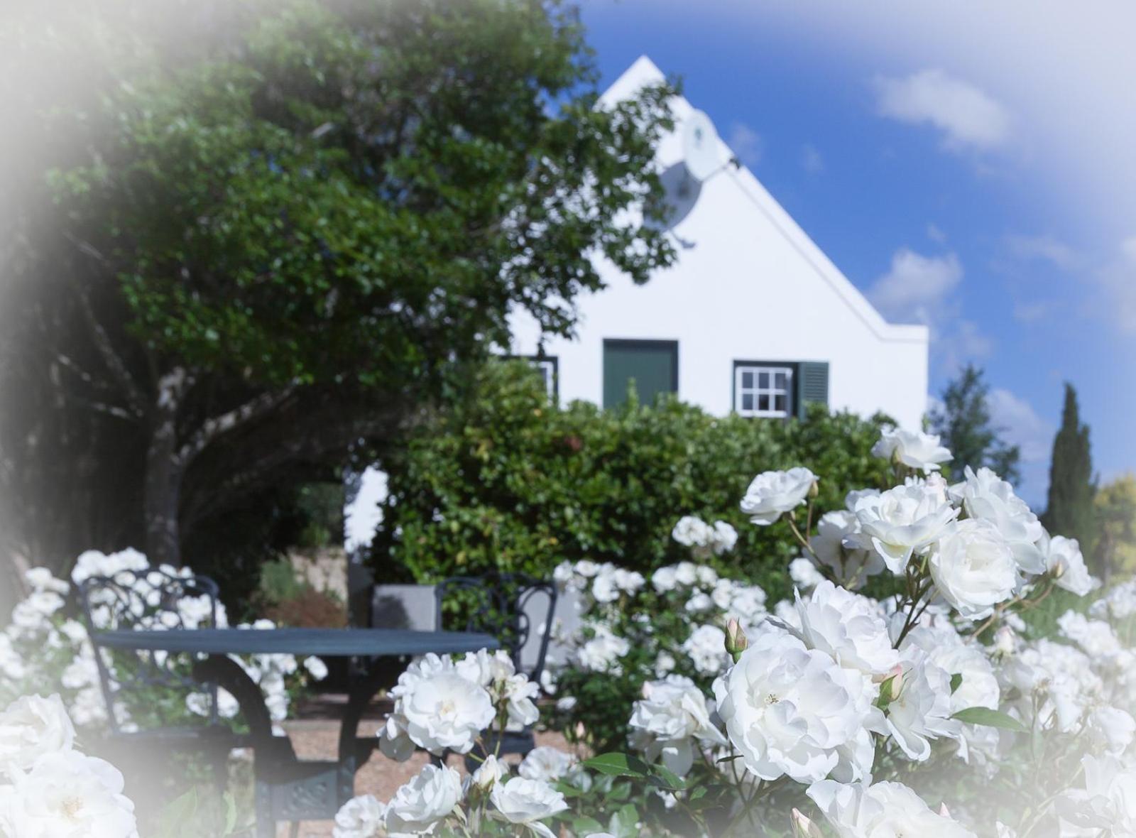Sanddrif Stellenbosch Guest Farm Luaran gambar